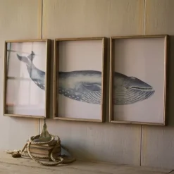 Framed Art-Kirkland's Home Triptych Whale Framed Art Prints, Set Of 3 White/Blue