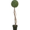 Trees & Topiaries-Kirkland's Home Twisted Trunk Boxwood Ball Topiary
