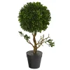 Trees & Topiaries-Kirkland's Home Uv-Safe Boxwood Topiary In Nursery Planter