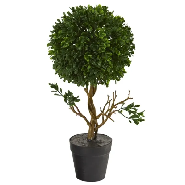 Trees & Topiaries-Kirkland's Home Uv-Safe Boxwood Topiary In Nursery Planter