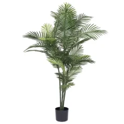 Trees & Topiaries-Kirkland's Home Uv-Safe Robellini Palm Tree In Nursery Planter