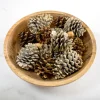Bowl Filler-Kirkland's Home Vanilla Spice Pine Cone Potpourri Gold