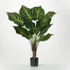 Trees & Topiaries-Kirkland's Home Veined Zebra Palm Potted Plant
