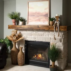 Trees & Topiaries-Kirkland's Home Veined Zebra Palm Potted Plant