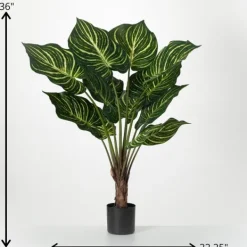 Trees & Topiaries-Kirkland's Home Veined Zebra Palm Potted Plant