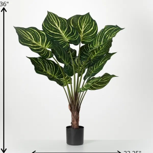 Trees & Topiaries-Kirkland's Home Veined Zebra Palm Potted Plant
