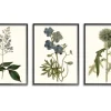 Framed Art-Kirkland's Home Vintage Blue Flowers Framed Art Prints, Set Of 3 Green/Blue