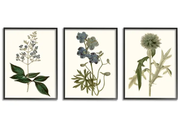 Framed Art-Kirkland's Home Vintage Blue Flowers Framed Art Prints, Set Of 3 Green/Blue