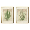 Framed Art-Kirkland's Home Vintage Green Ferns Framed Art Prints, Set Of 2 Tan/Green