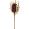 Stems & Bouquets-Kirkland's Home Violet Dried Jumbo Banksia Stems, Set Of 3 Purple