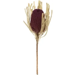 Stems & Bouquets-Kirkland's Home Violet Dried Jumbo Banksia Stems, Set Of 3 Purple
