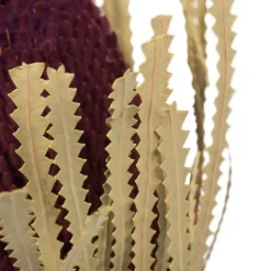 Stems & Bouquets-Kirkland's Home Violet Dried Jumbo Banksia Stems, Set Of 3 Purple