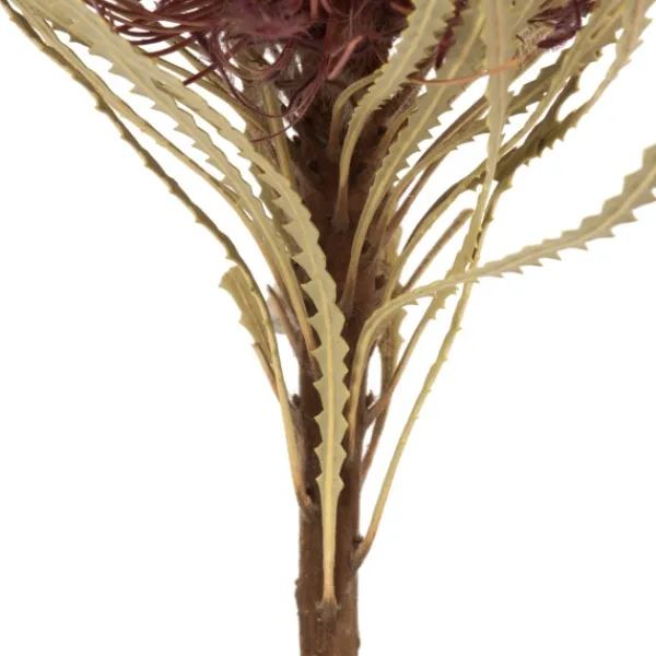 Stems & Bouquets-Kirkland's Home Violet Dried Jumbo Banksia Stems, Set Of 3 Purple