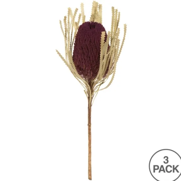 Stems & Bouquets-Kirkland's Home Violet Dried Jumbo Banksia Stems, Set Of 3 Purple