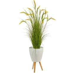 Trees & Topiaries-Kirkland's Home Wheat Grass In White Planter