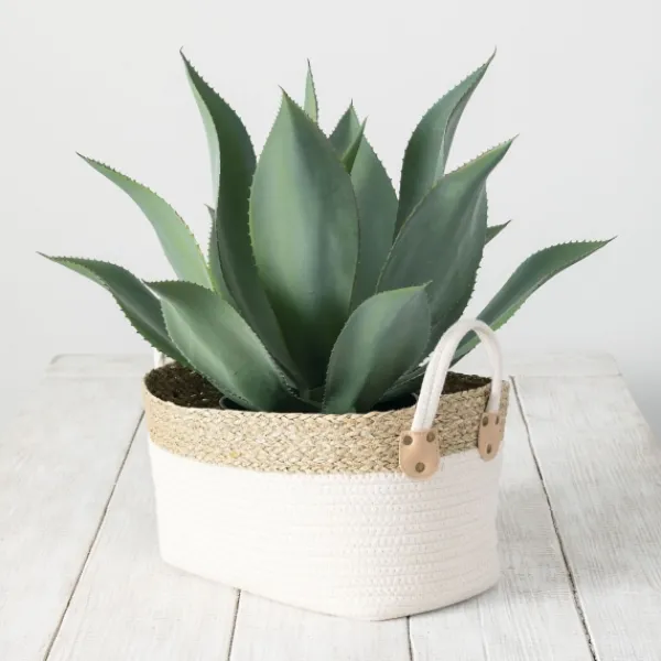 Baskets & Boxes-Kirkland's Home White And Natural Seagrass Woven Baskets, Set Of 3 White/Tan