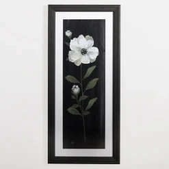 Framed Art-Kirkland's Home White Flower On Black I Framed Art Print White/Black