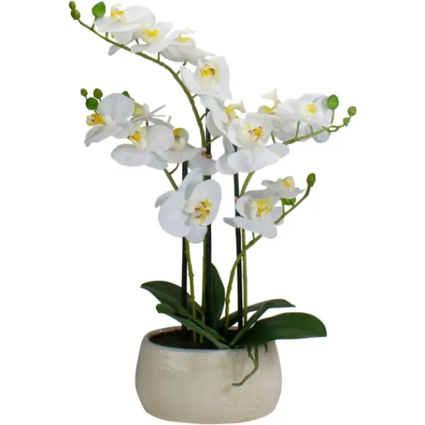 Arrangements & Greenery-Kirkland's Home White Orchid In Round Ceramic Bowl White/Green