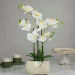 Arrangements & Greenery-Kirkland's Home White Orchid In Round Ceramic Bowl White/Green