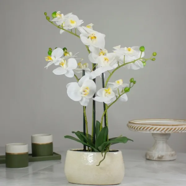 Arrangements & Greenery-Kirkland's Home White Orchid In Round Ceramic Bowl White/Green