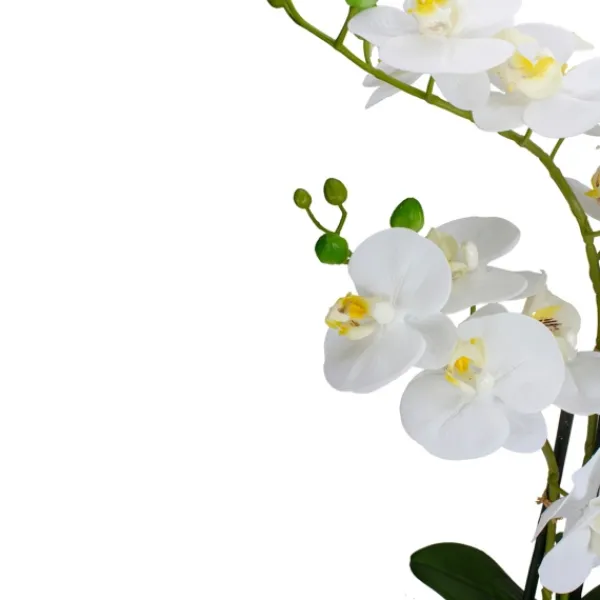 Arrangements & Greenery-Kirkland's Home White Orchid In Round Ceramic Bowl White/Green