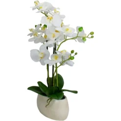 Arrangements & Greenery-Kirkland's Home White Orchid In Round Ceramic Bowl White/Green