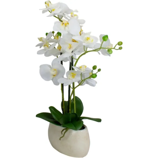 Arrangements & Greenery-Kirkland's Home White Orchid In Round Ceramic Bowl White/Green
