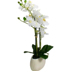 Arrangements & Greenery-Kirkland's Home White Orchid In Round Ceramic Bowl White/Green