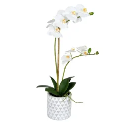Arrangements & Greenery-Kirkland's Home White Orchid Real Touch Arrangement In Ceramic Pot White/Green