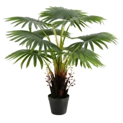 Trees & Topiaries-Kirkland's Home Wide Reach Tree Fern In Black Planter