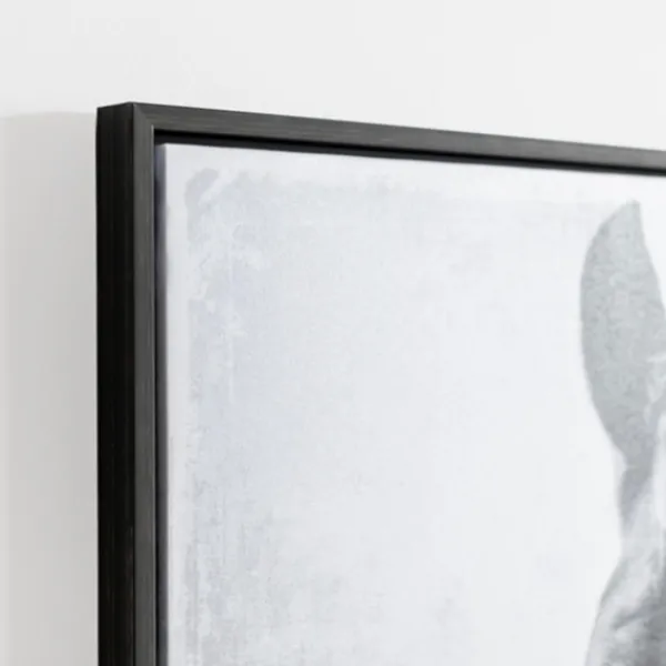 Framed Art-Kirkland's Home Wild Horse Framed Canvas Art Print Black/White