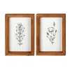 Framed Art-Kirkland's Home Wildflower Stems Framed Art Prints, Set Of 2 White/Black