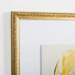 Framed Art-Kirkland's Home Yellow Free Bird Gold Framed Art Print Yellow/White