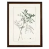 Framed Art-Kirkland's Home Zanthorhiza Greenery Black Beaded Framed Art Print Ivory/Green